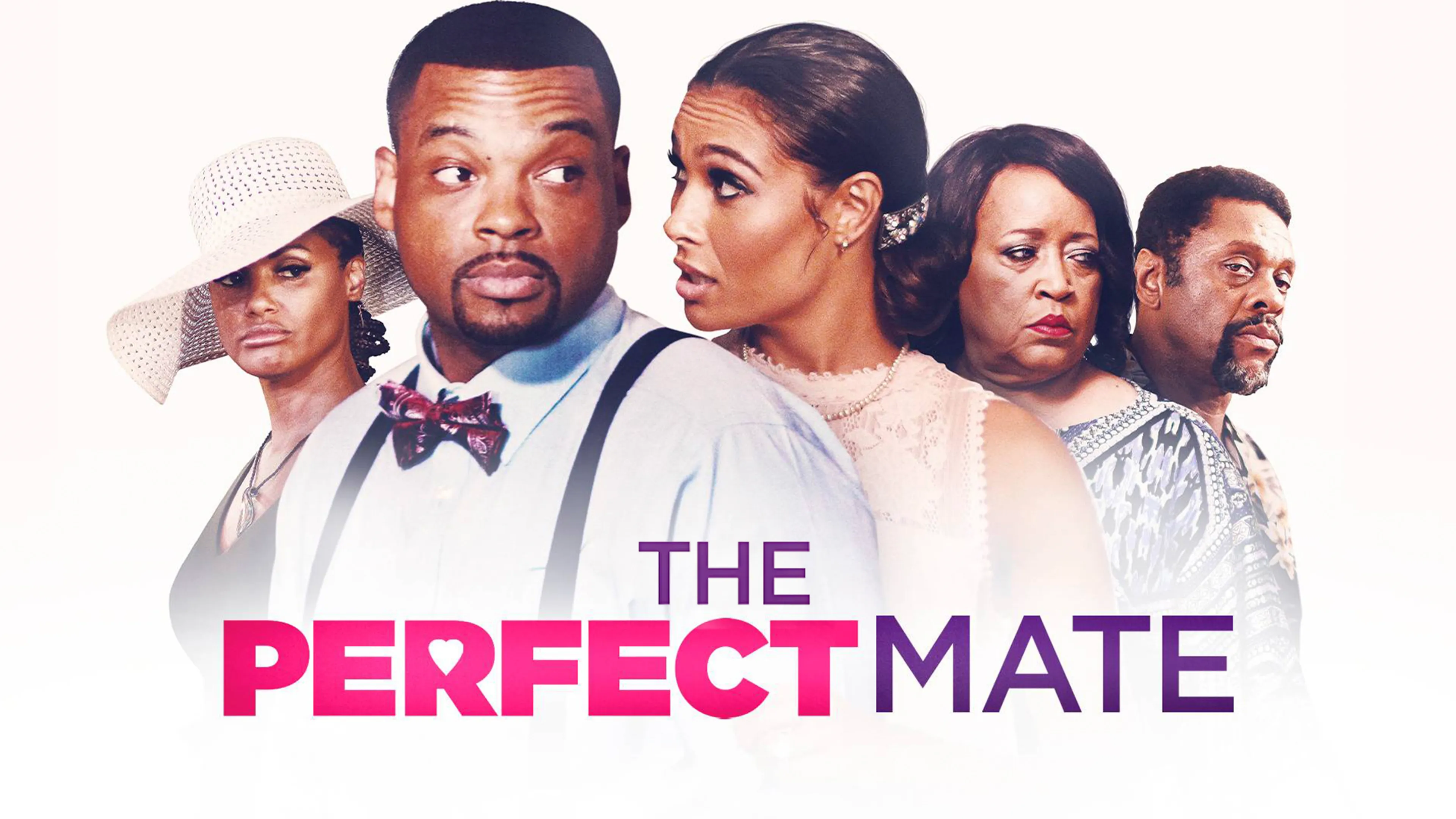 The Perfect Mate poster